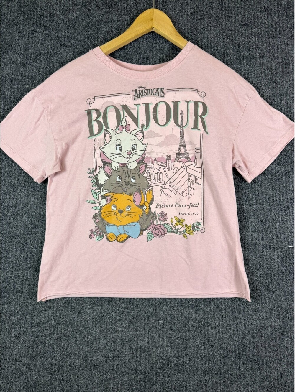 Disney The Aristocats Shirt Womens Large Pink Graphic Tee Marie Bonjour Kittens